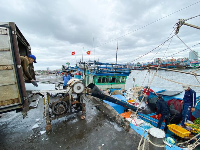 Khung cảnh nhộn nhịp khi các tàu cá chuẩn bị vươn khơi đón giao thừa- ẢNH: HUY ĐẠT Khung cảnh nhộn nhịp khi các tàu cá chuẩn bị vươn khơi đón giao thừa- ẢNH: HUY ĐẠT