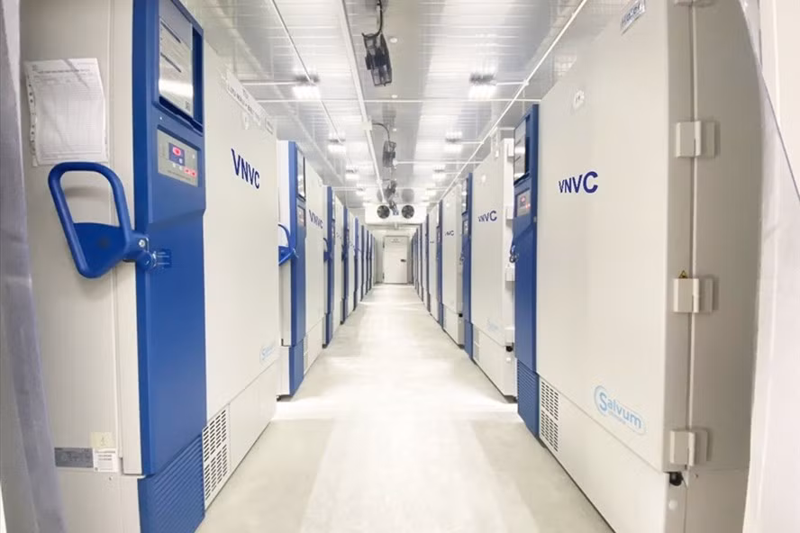 3 kho lạnh âm sâu tại TP.Hồ Chí Minh, Đà Nẵng và Hà Nội có thể bảo quản được 3 triệu liều vắc xin COVID-19 tại một thời điểm.