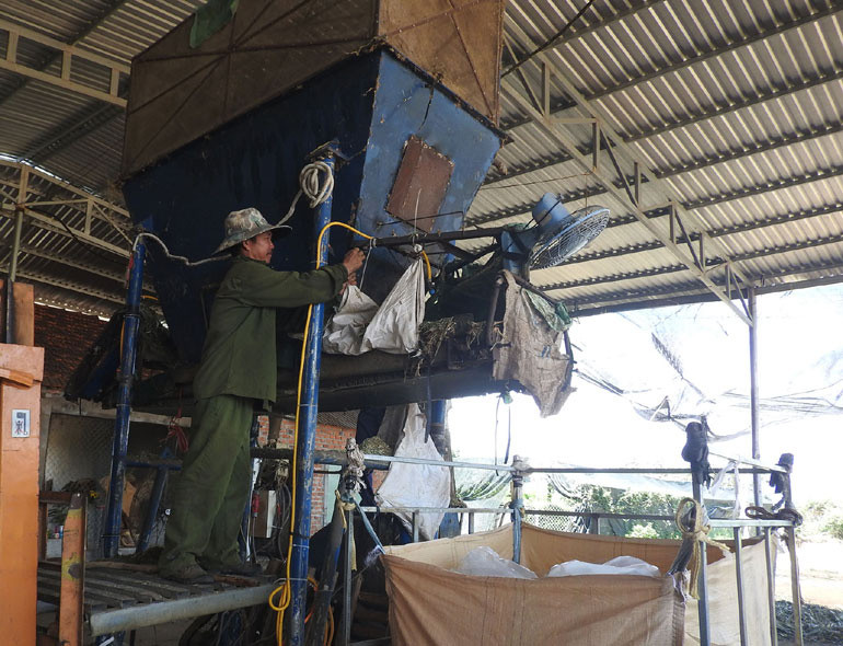 Công nhân chuẩn bị vận hành máy xay bắp, trộn men, đóng gói ở huyện Tây Hòa, tỉnh Phú Yên. Ảnh: THÁI HÀ