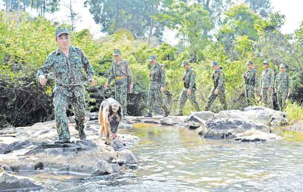 Cán bộ, chiến sĩ Đồn Biên phòng Cửa khẩu Quốc tế Lệ Thanh (huyện Đức Cơ) tuần tra bảo vệ biên giới. Ảnh: Duy Lê