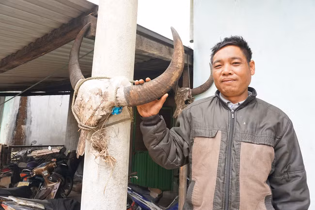 Anh Ngót làng Rót Mẹt treo nhiều đầu trâu trước nhà để xua đuổi xui xẻo, tà ma. Ảnh: P.V