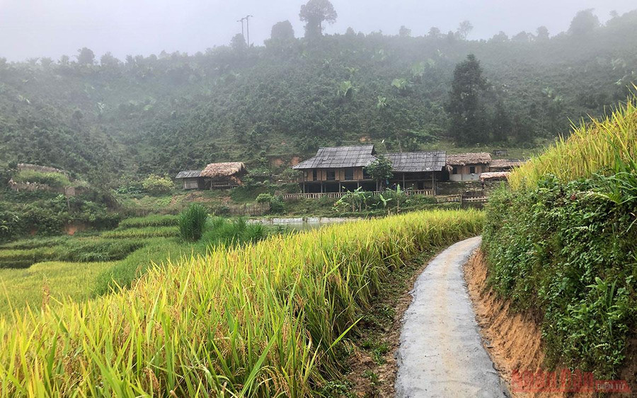 Đường vào quanh co giữa những thửa ruộng bậc thang.