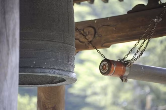 Ảnh: Shutterstock Ảnh: Shutterstock