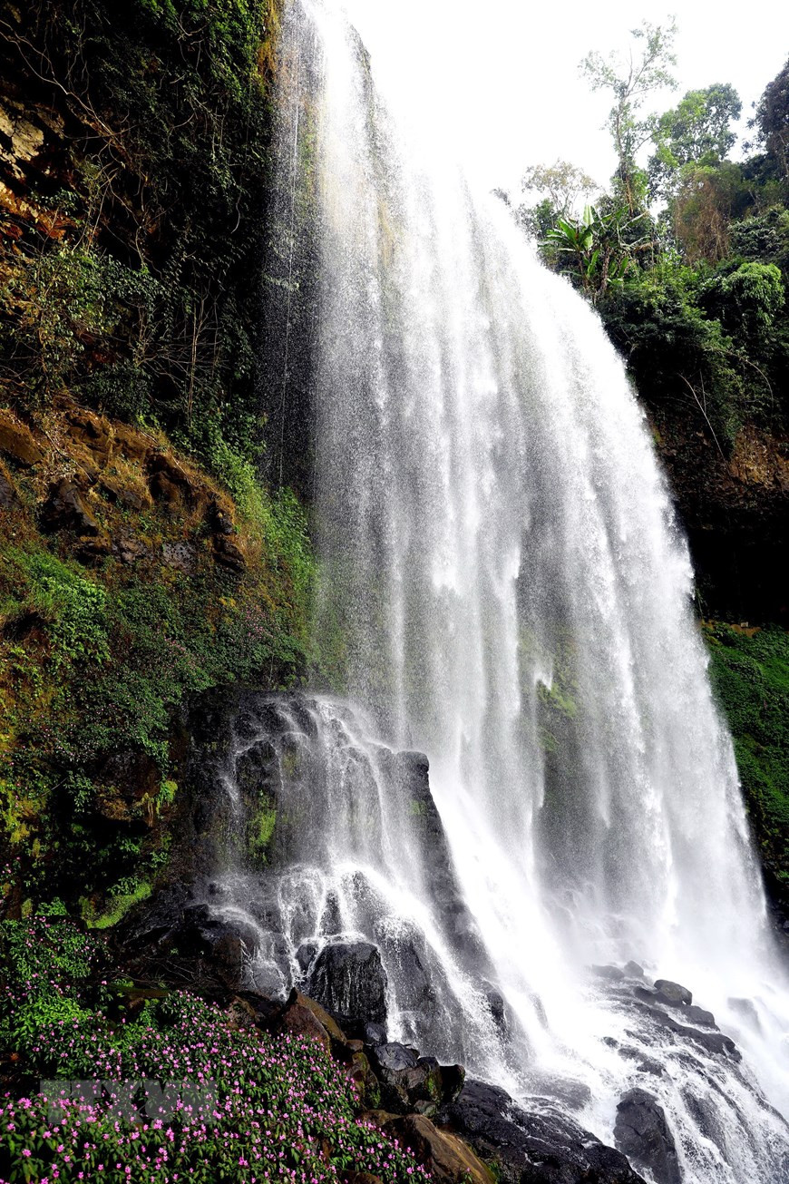 Lâm Đồng: Ngỡ ngàng trước vẻ đẹp hoang sơ của thác Đambri ảnh 6 Thác Đambri còn được người địa phương gọi là thác Bảy tầng hoặc thác Đợi chờ.