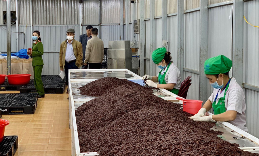 Đoàn kiểm tra liên ngành vệ sinh an toàn thực phảm tỉnh kiểm tra một cơ sở sản xuất kinh doanh hạt dưa. Ảnh: Nguyễn Diệp