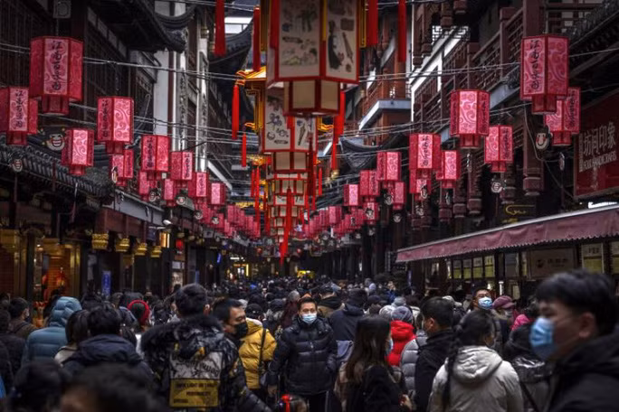 Các chuyên gia tin rằng Covid-19 rất có thể lây nhiễm sang người từ vật chủ trung gian là động vật. Ảnh: EPA-EFE