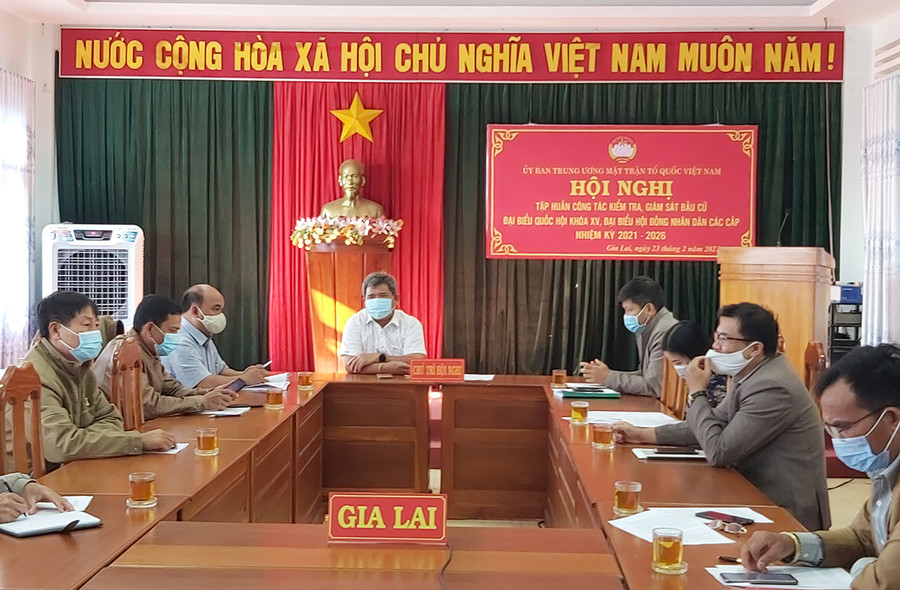  Quang cảnh hội nghị trực tuyến. Ảnh: Ngọc Anh