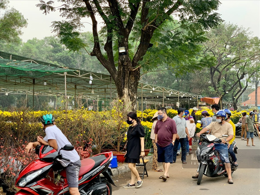  Chợ hoa Xuân Phú Mỹ Hưng (Quận 7, TPHCM) nhiều năm nay đã luôn nổi tiếng là nơi quy tụ nhiều loại cây hoa đa dạng phong phú và đặc biệt là nơi bày bán nhiều gốc mai cổ thụ có mức giá lên tới cả tỉ đồng.