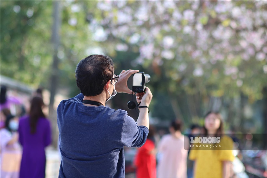 Nhiều người yêu thích vẻ đẹp của loài hoa này cũng chụp lại hình ảnh hoa ban nở rộ trong tiết trời đầu xuân ấm áp.