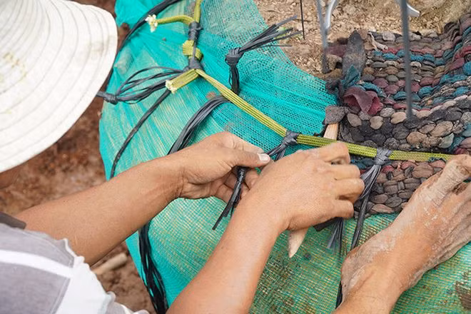 Công đoạn thắt “át rô” giúp bầu đất chặt hơn ẢNH: XUÂN PHÚC