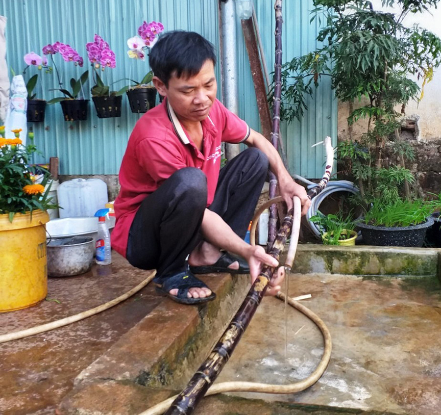 Nhiều gia đình gốc Hà Tĩnh vào Gia Lai lập nghiệp đã lâu nhưng vẫn giữ phong tục chưng mía hai bên ban thờ ngày Tết. Ảnh: Nhật Hào Nhiều gia đình gốc Hà Tĩnh dù vào Gia Lai lập nghiệp đã lâu nhưng vẫn giữ phong tục chưng mía hai bên ban thờ ngày Tết. Ảnh: Nhật Hào