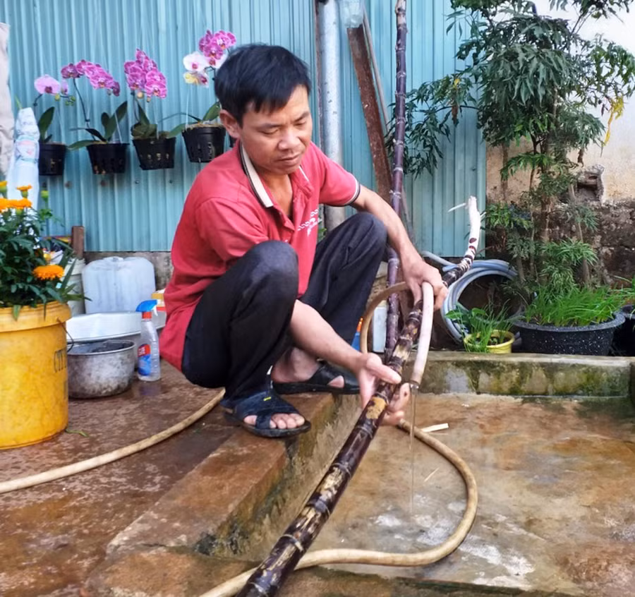 Nhiều gia đình gốc Hà Tĩnh dù vào Gia Lai lập nghiệp đã lâu nhưng vẫn giữ phong tục chưng mía hai bên ban thờ ngày Tết. Ảnh: Nhật Hào