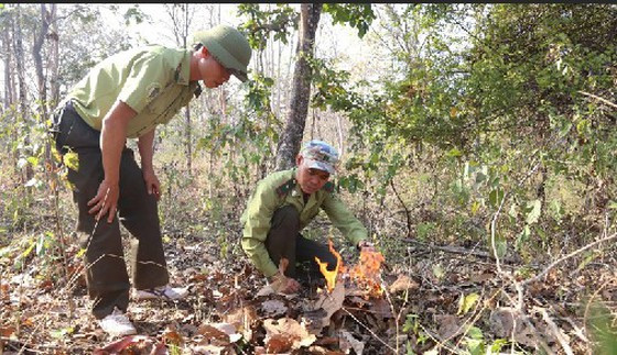 Lực lượng Kiểm lâm Vườn quốc gia Yok Đôn tổ chức đốt non (còn gọi là đốt có kiểm soát, đốt thực bì), để ngăn chặn cháy rừng Lực lượng Kiểm lâm Vườn quốc gia Yok Đôn tổ chức đốt non (còn gọi là đốt có kiểm soát, đốt thực bì), để ngăn chặn cháy rừng