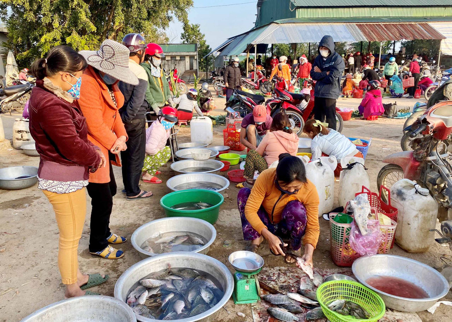 Cá đồng là mặt hàng được nhiều người chọn mua trong phiên chợ đầu năm mới. Ảnh: Hồng Thi Cá đồng là mặt hàng được nhiều người chọn mua trong phiên chợ đầu năm mới. Ảnh: Hồng Thi