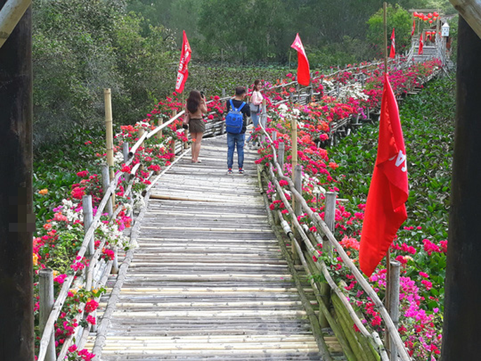 Chiếc cầu tre dài nhất Việt Nam được điểm tô thêm bởi những giàn hoa giấy nên được bạn trẻ thích thú Chiếc cầu tre dài nhất Việt Nam được điểm tô thêm bởi những giàn hoa giấy nên được bạn trẻ thích thú