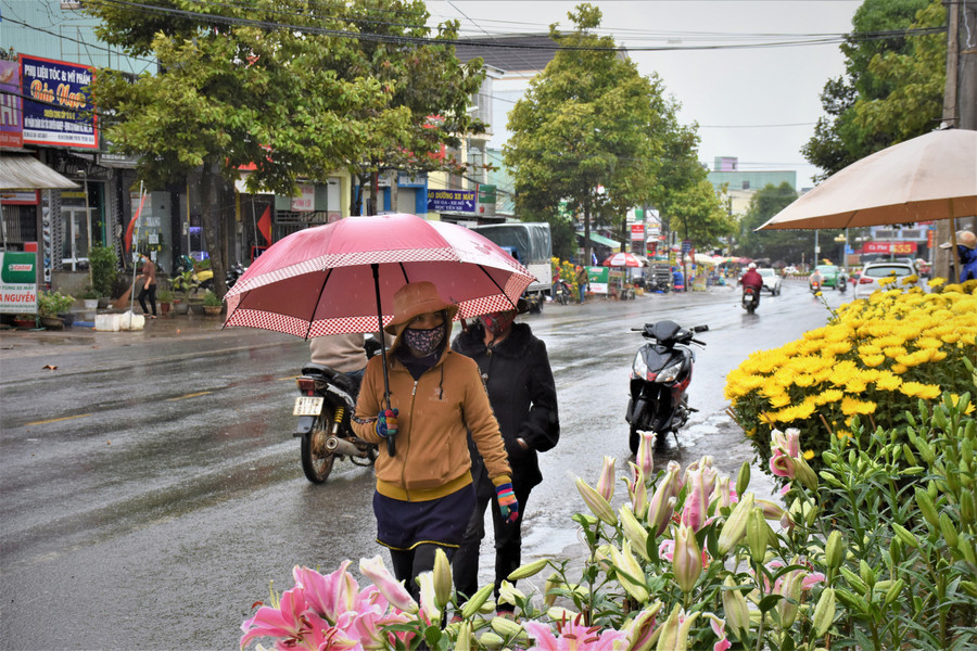 Nhiều người dân ở TP. Pleiku đội mưa đi chợ mua sắm trong ngày 29 Tết. Ảnh: Trần Dung 2- Nhiều người dân ở TP. Pleiku vẫn đội mưa đi chợ mua sắm trong ngày 29 Tết. Ảnh: Trần Dung.