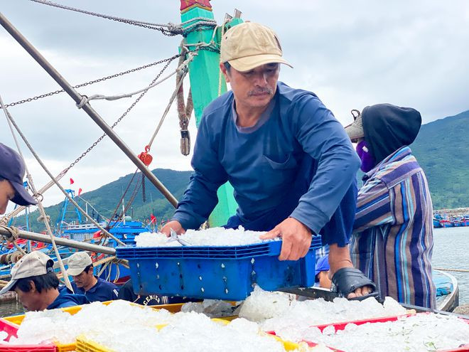 Ngư dân ở âu thuyền Thọ Quang (TP.Đà Nẵng) tất bật chuyển cá lên bờ kịp về nhà đón giao thừa - Ảnh: HUY ĐẠT Ngư dân ở âu thuyền Thọ Quang (TP.Đà Nẵng) tất bật chuyển cá lên bờ kịp về nhà đón giao thừa - Ảnh: HUY ĐẠT