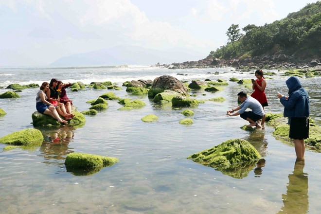 Người dân và du khách đến tham quan, chụp ảnh. (Ảnh: Trần Lê Lâm/TTXVN) Người dân và du khách đến tham quan, chụp ảnh. (Ảnh: Trần Lê Lâm/TTXVN)
