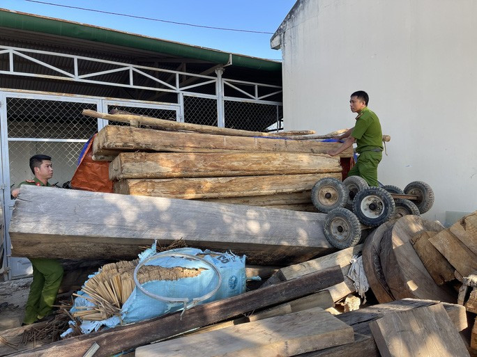 Công an huyện Krông Bông, tỉnh Đắk Lắk bắt vụ khai thác gỗ pơ-mu ở lâm phần của Công ty TNHH MTV Lâm nghiệp Krông Bông Công an huyện Krông Bông, tỉnh Đắk Lắk bắt vụ khai thác gỗ pơ-mu ở lâm phần của Công ty TNHH MTV Lâm nghiệp Krông Bông
