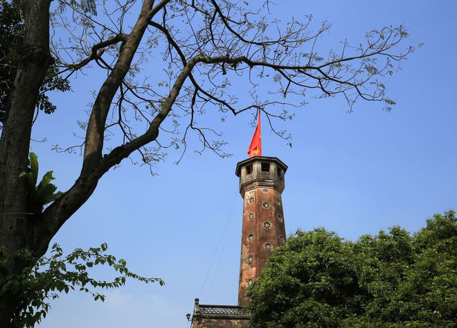 Cây phượng vĩ thay lá mới bên Cột cờ Hà Nội