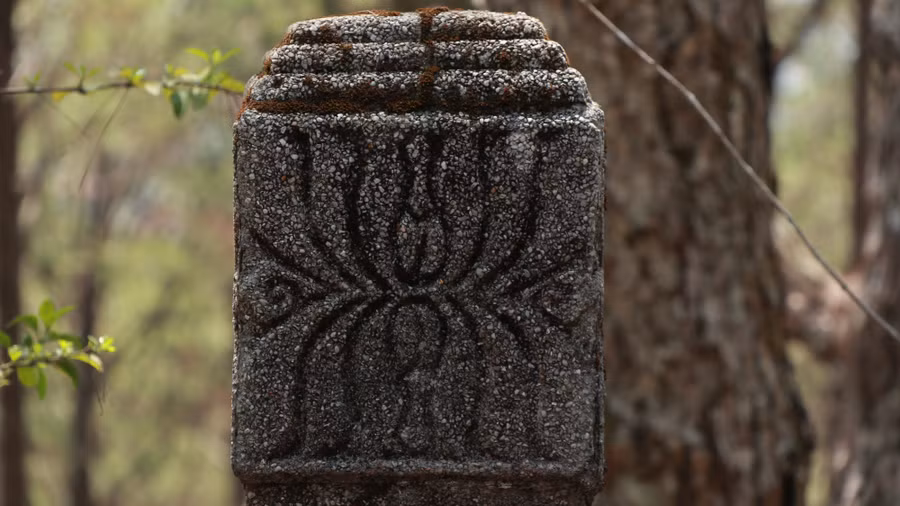 Bao quanh khu vực lăng chính là một hàng rào được xây dựng với những họa tiết hoa văn tinh tế.