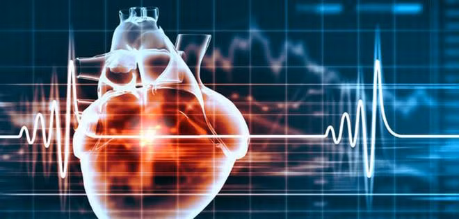 Nhiều nghiên cứu đã chứng minh hải sản không chỉ ngừa bệnh tim mà còn ngừa cả đột quỵ, suy tim, đột tử do tim, và suy tim sung huyết.