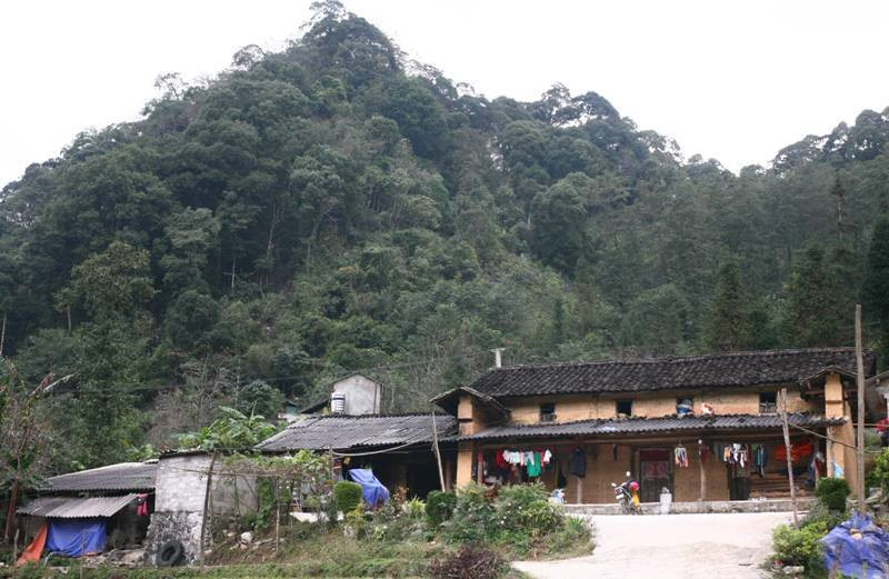 Nhiều ngôi nhà của bà con Phố Là tựa lưng vào rừng nguyên sinh. (Ảnh: Minh Tâm).  Nhiều ngôi nhà của bà con Phố Là tựa lưng vào rừng nguyên sinh. (Ảnh: Minh Tâm).