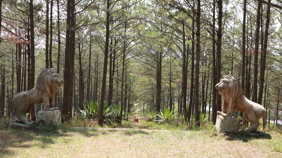 Sau khi đi qua cổng lăng, du khách phải tiếp tục đi thêm khoảng 200m với 158 bậc thang để đến được với khu lăng chính. Cứ lên vài bậc lại có một chiếu nghỉ đan xen xuyên suốt đến hết đoạn đường tạo cảm giác thoai thoải không quá dốc đối với người đi lên xuống. Cuối con đường lên khu lăng chính này là cặp sư tử được đặt án ngữ hai bên được xem như linh vật trấn giữ lăng. Sau khi đi qua cổng lăng, du khách phải tiếp tục đi thêm khoảng 200m với 158 bậc thang để đến được với khu lăng chính. Cứ lên vài bậc lại có một chiếu nghỉ đan xen xuyên suốt đến hết đoạn đường tạo cảm giác thoai thoải không quá dốc đối với người đi lên xuống. Cuối con đường lên khu lăng chính này là cặp sư tử được đặt án ngữ hai bên được xem như linh vật trấn giữ lăng.