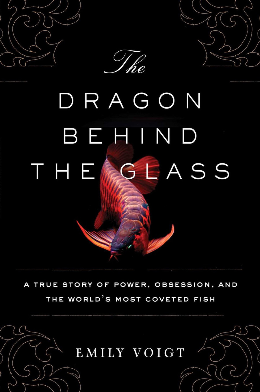 Cuốn sách “The Dragon Behind the Glass” của Emily Voigt nói về hoạt động nuôi và bán cá rồng. Ảnh AFP  Cuốn sách “The Dragon Behind the Glass” của Emily Voigt nói về hoạt động nuôi và bán cá rồng. Ảnh AFP