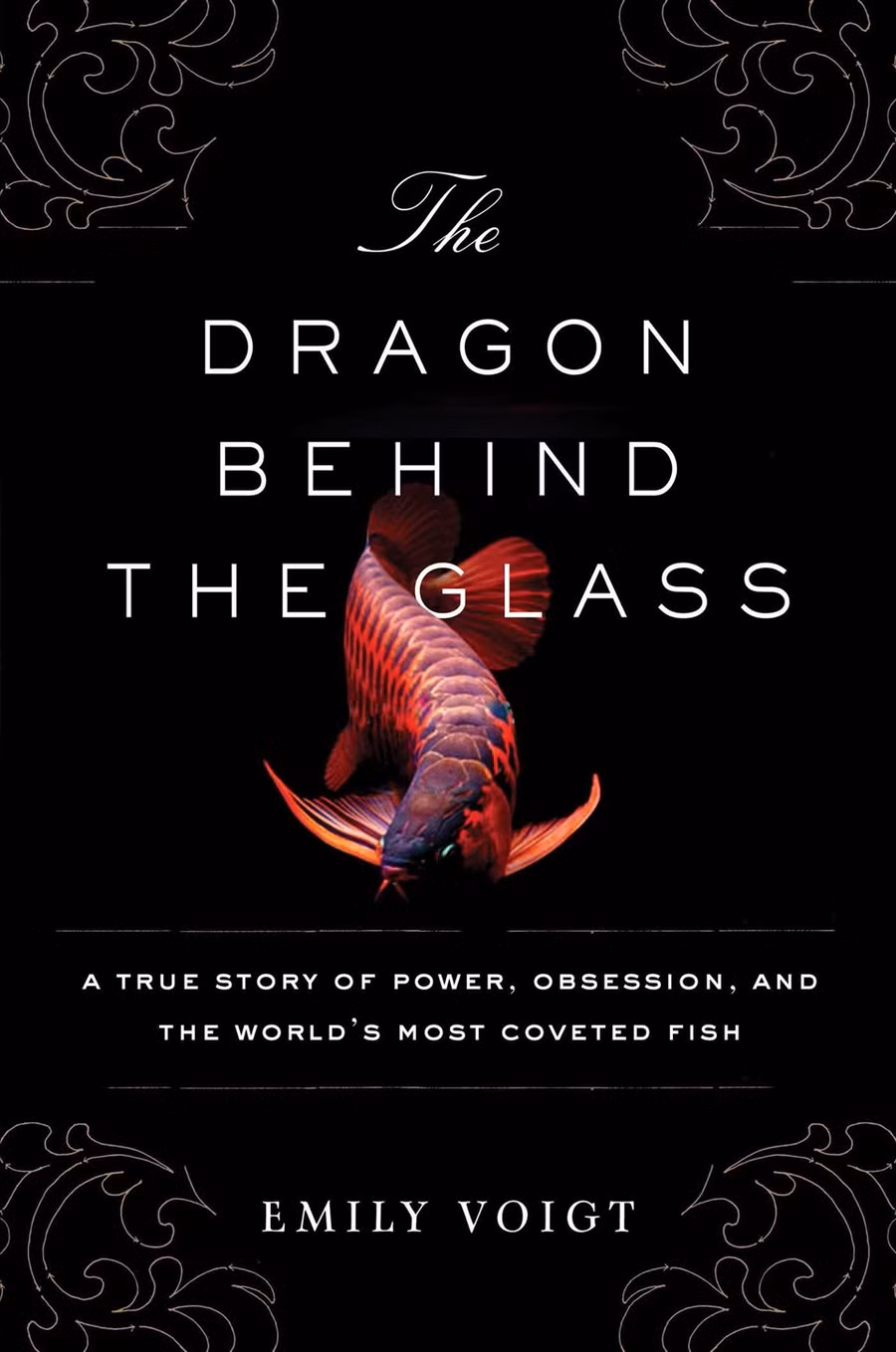  Cuốn sách “The Dragon Behind the Glass” của Emily Voigt nói về hoạt động nuôi và bán cá rồng. Ảnh AFP