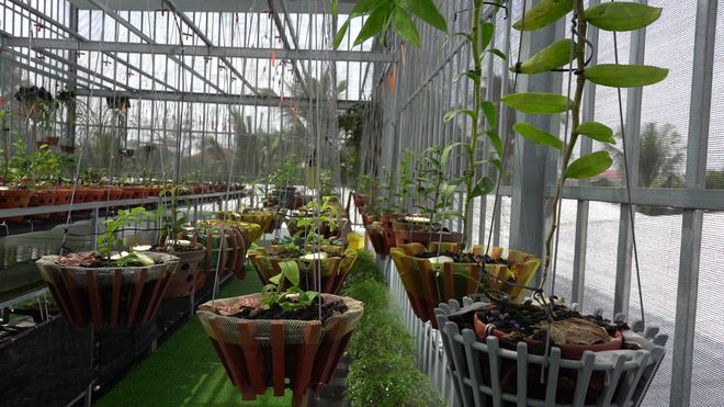  Những chậu lan Vĩnh Khang, Bảo Duy, Thảo Chi, Tản Viên, Á Hậu.... có giá tiền tỉ. ẢNH: DUY TÂN