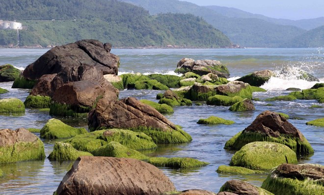 Bãi đá Nam Ô thuộc quận Liên Chiểu, thành phố Đà Nẵng đang là thời điểm đẹp nhất trong năm, thu hút nhiều người dân và du khách đến tham quan. (Ảnh: Trần Lê Lâm/TTXVN) Bãi đá Nam Ô thuộc quận Liên Chiểu, thành phố Đà Nẵng đang là thời điểm đẹp nhất trong năm, thu hút nhiều người dân và du khách đến tham quan. (Ảnh: Trần Lê Lâm/TTXVN)