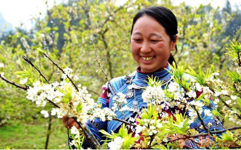 Khoe sắc cùng hoa.