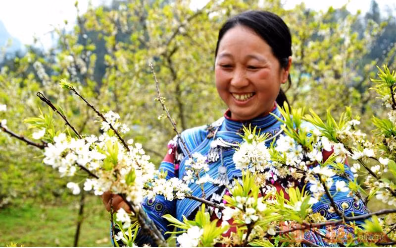 Khoe sắc cùng hoa.