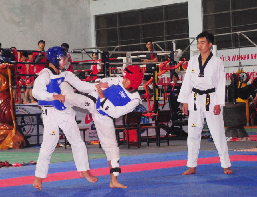 Các VĐV đội tuyển Teakwondo tập luyện tại Trung tâm Huấn luyện và Thi đấu thể thao tỉnh. Ảnh: Thiên Di