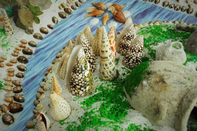 Cuối năm 2020, ông Toại đã bàn giao toàn bộ số vỏ ốc cho Nhà trưng bày Hoàng Sa triển lãm, lưu trữ