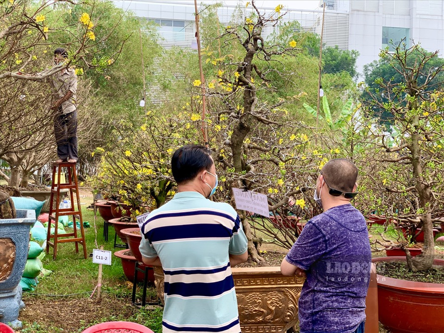 Theo những tiểu thương trong chợ, do ảnh hưởng từ việc dịch COVID-19 đang có những diễn biến phức tạp trong cộng đồng vào dịp cận Tết, nên số lượng khách tới tham quan và mua sắm cây cảnh dịp Tết Tân Sửu này giảm hẳn so với những năm trước. Cả về quy mô của các gian hàng và số lượng cây cảnh được bày bán đều giảm.