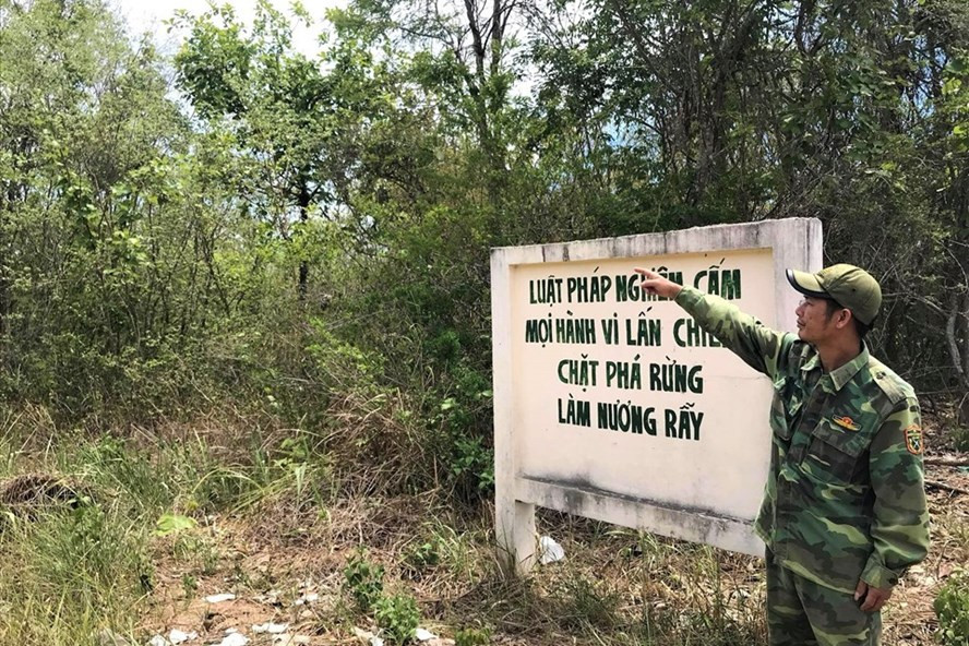 Một góc khu bảo tồn thiên nhiên Ea Sô. Ảnh: Bảo Trung