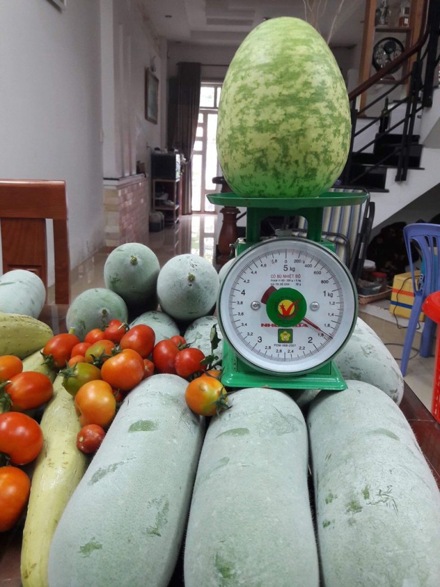 Thành quả mỗi lần thu hoạch