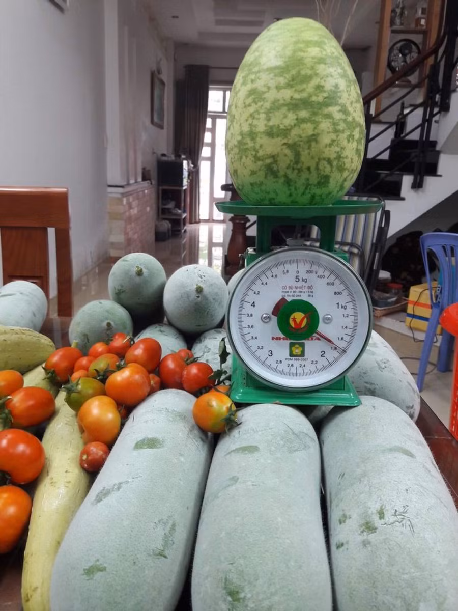 Thành quả mỗi lần thu hoạch