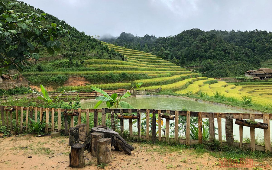 Góc sân nhỏ vào ao cá.