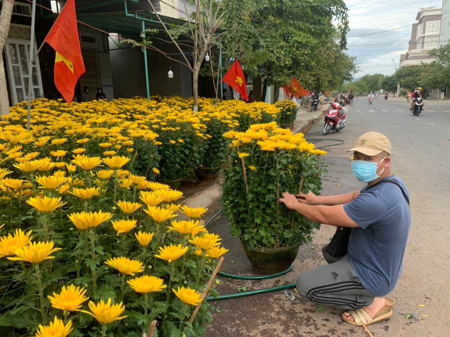 Điểm bán hoa của anh Bùi Tiến Sơn trên đường Lý Thái Tổ thưa vắng bóng nười mua.Ảnh.Vũ Chi
