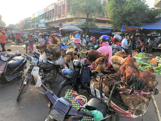 Hình ảnh quen thuộc ở chợ ngày tết Hình ảnh quen thuộc ở chợ ngày tết