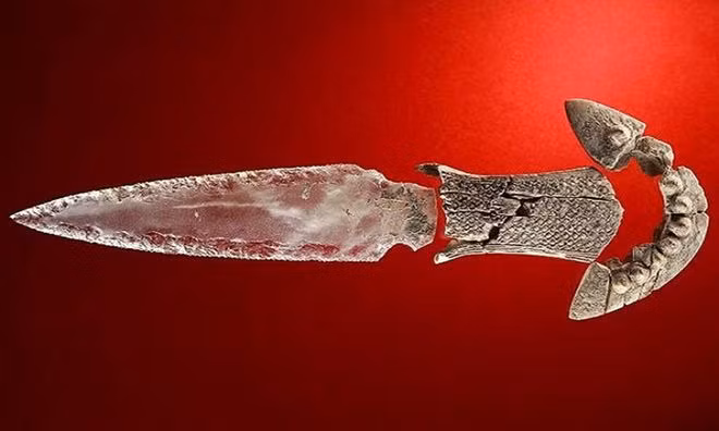 Ảnh: Universidad de Granada