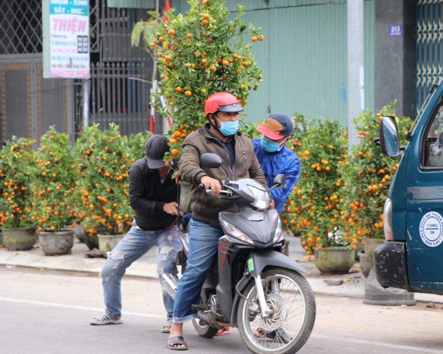 Hoa và cây cảnh vẫn là mặt hàng được người dân tại khu vực phía Đông tỉnh ưu tiên chọn mua trong ngày giáp Tết. Ảnh: Ngọc Minh.