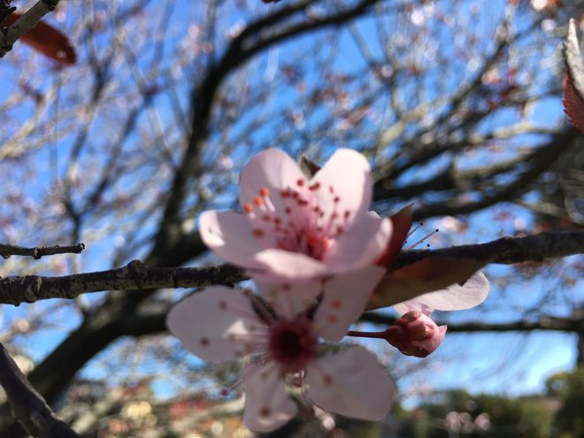  Hãy tận hưởng niềm vui của những khoảnh khắc trong hiện tại. Ảnh: Linh Trương