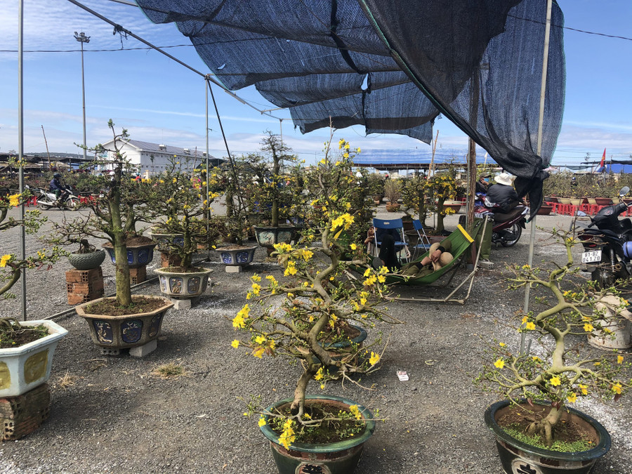 Nhiều người ngủ quên vì không có khách đến hỏi mua