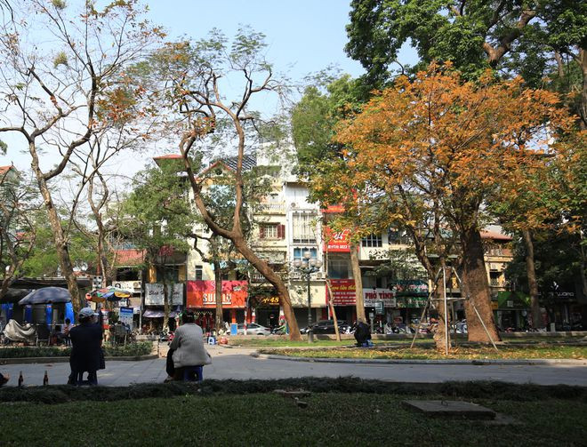  Mùa thay lá, người Hà Nội như sống chậm lại hơn