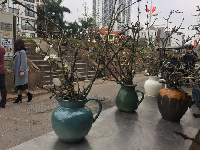 Hoa lê tỉa nhánh được thương lái tận dụng cắm bình, bán với giá rẻ - Ảnh: Lam Phong Hoa lê tỉa nhánh được thương lái tận dụng cắm bình, bán với giá rẻ - Ảnh: Lam Phong