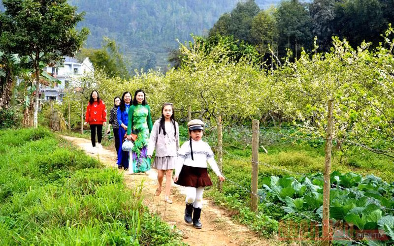 Thu hút du khách đến tham quan, trải nghiệm trong những ngày đầu xuân mới.